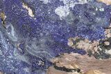 Azurite and Malachite Association on Matrix - Morocco #217774-1